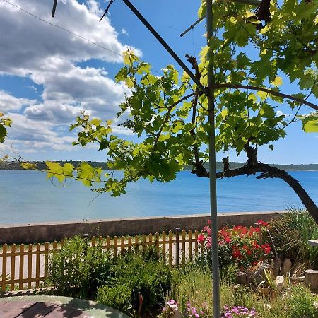 Apartmani Seaview Ljubač 外观 照片