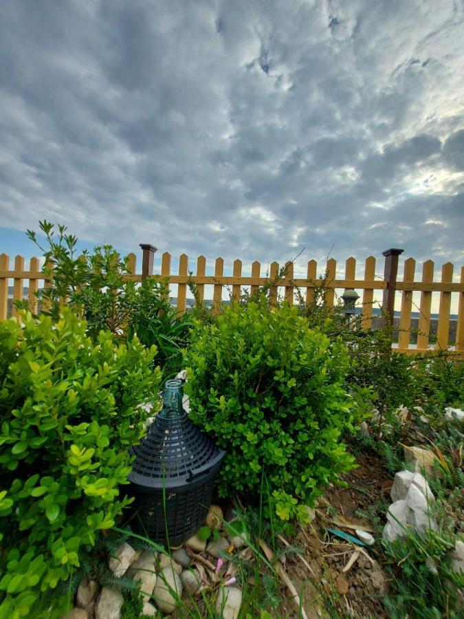 Apartmani Seaview Ljubač 外观 照片